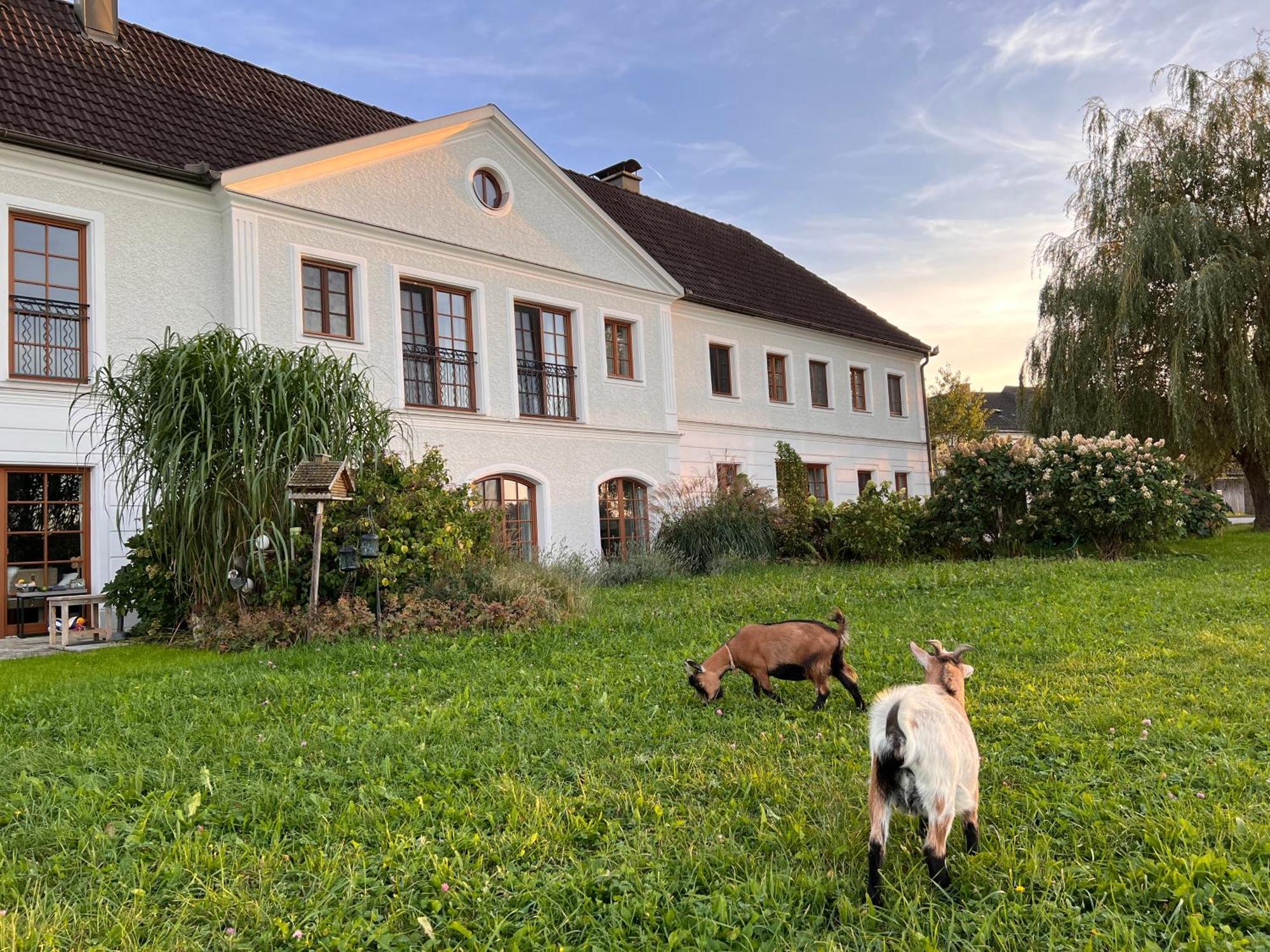 Landhaus Aigner Allhartsberg エクステリア 写真